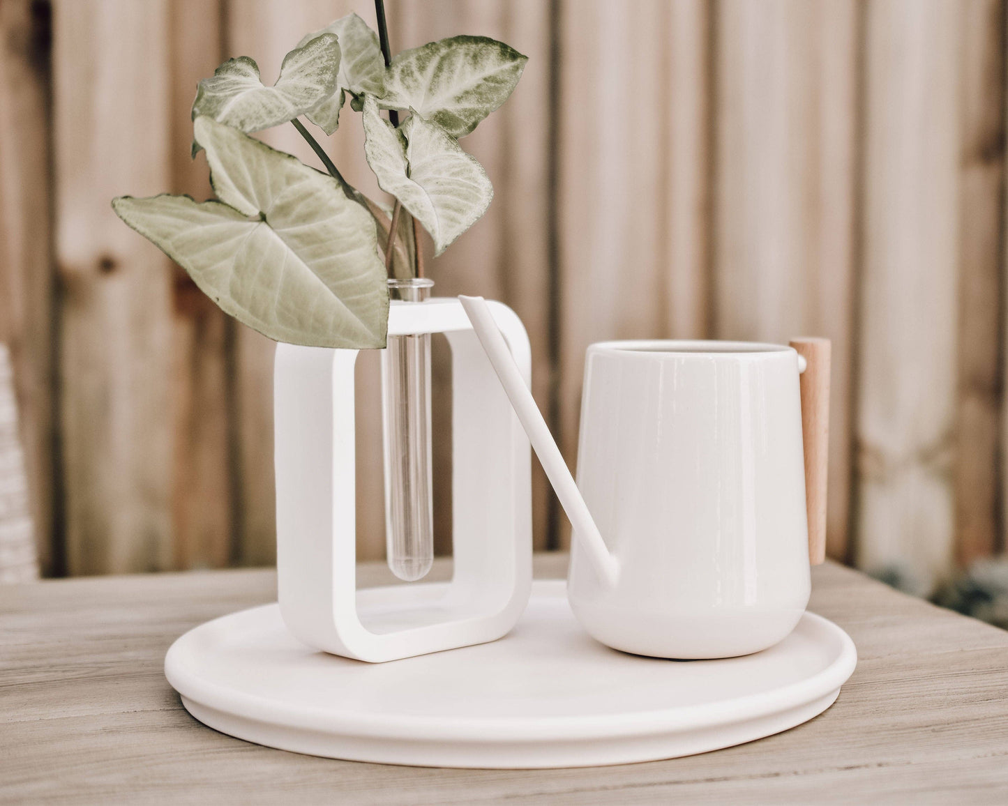 Florence Propagation Vase