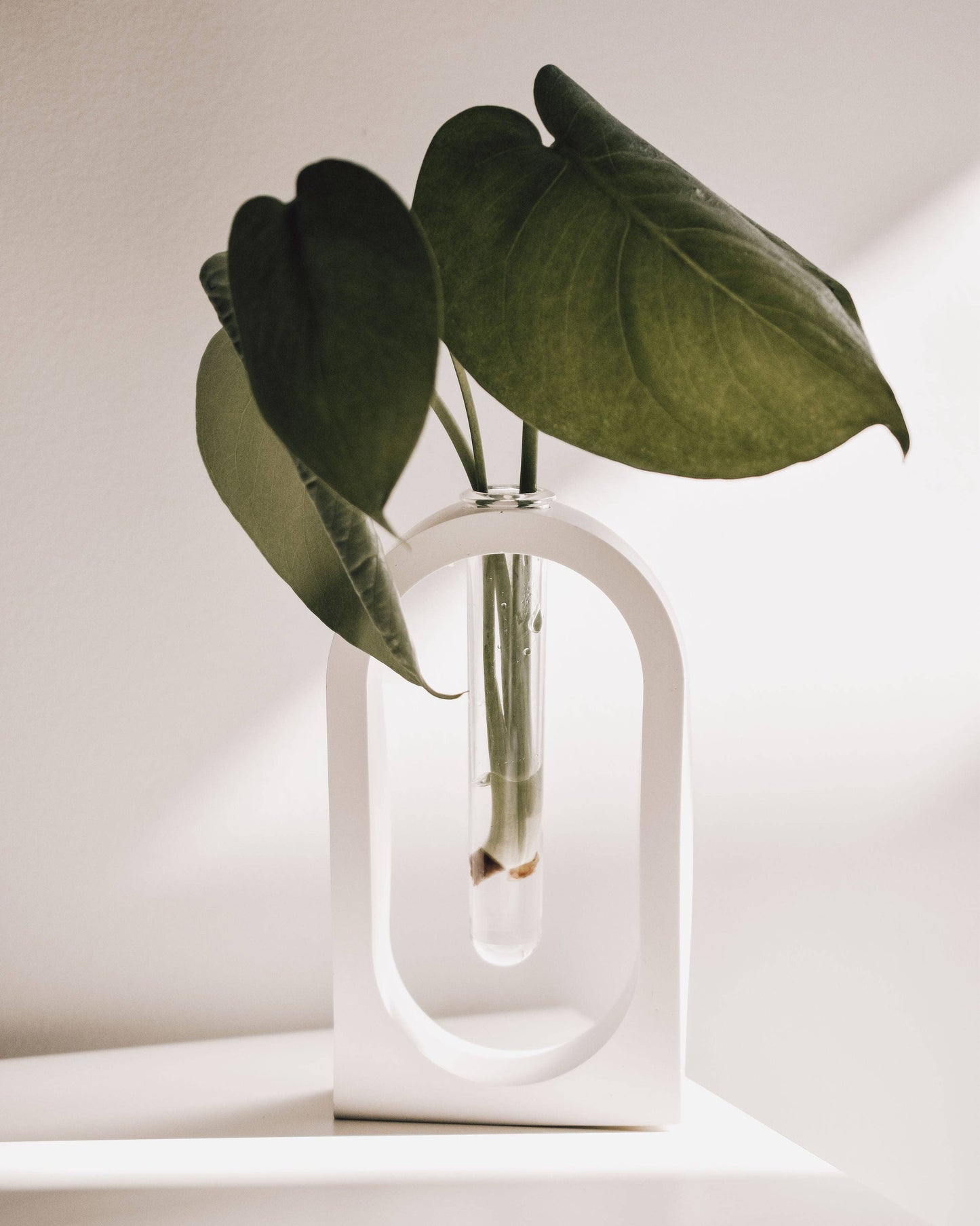 Milan Propagation Vase