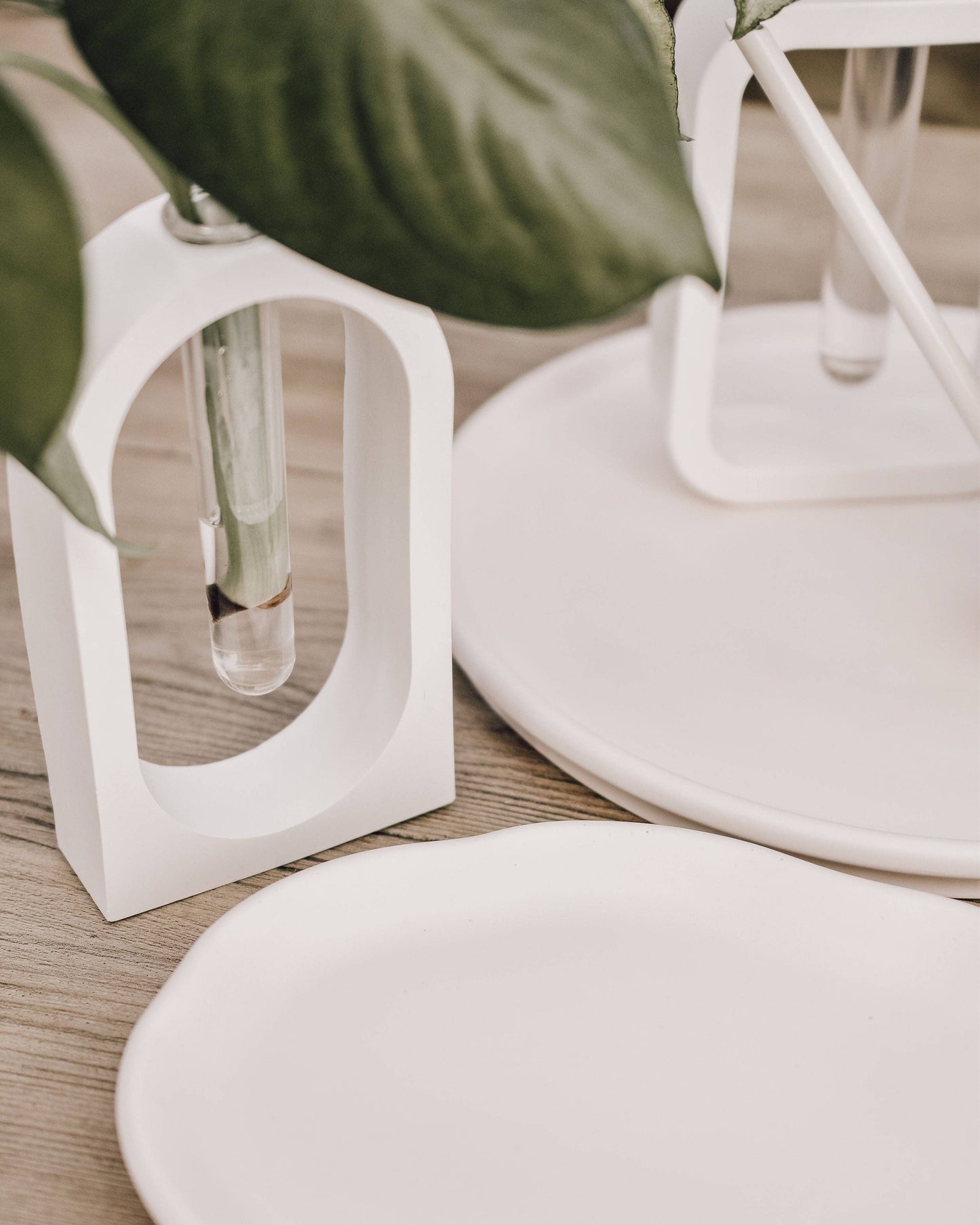 Milan Propagation Vase